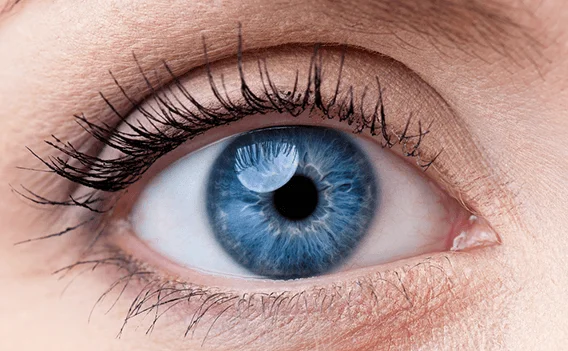 Retina Check Up